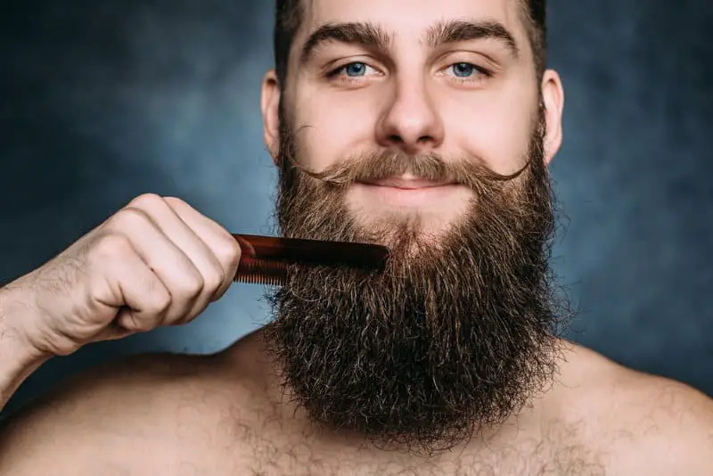Brush or Comb Your Beard