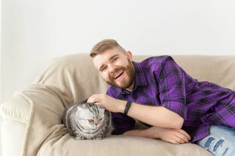 Why Does Your Cat Lick Your Beard