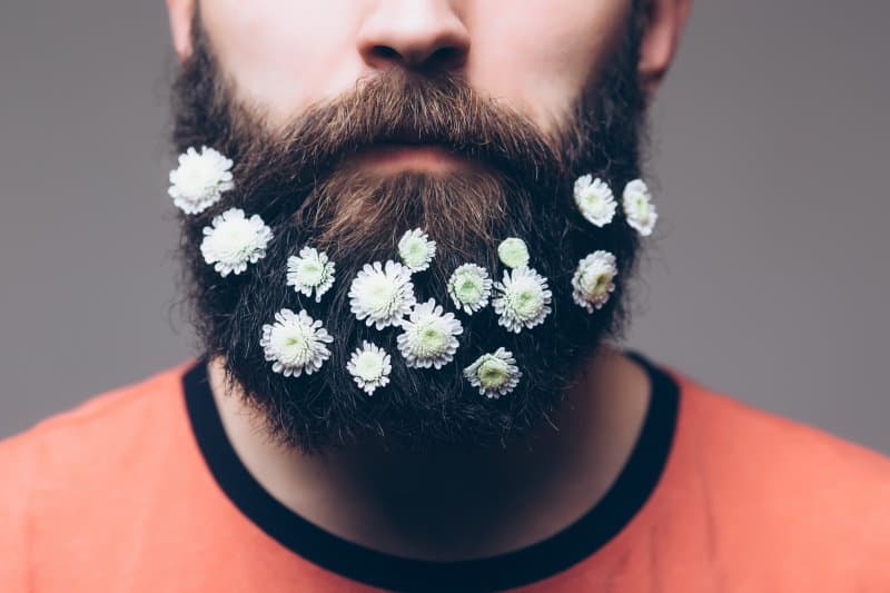 Nourish Your Body, Nourish Your Beard