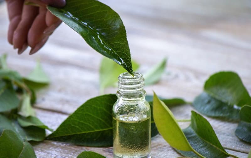 Tea Tree Oil