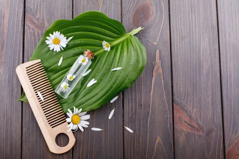 Comb and Brush Your Beard